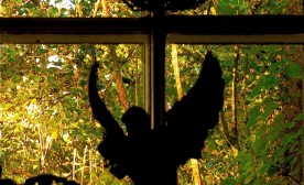 Angel in the window