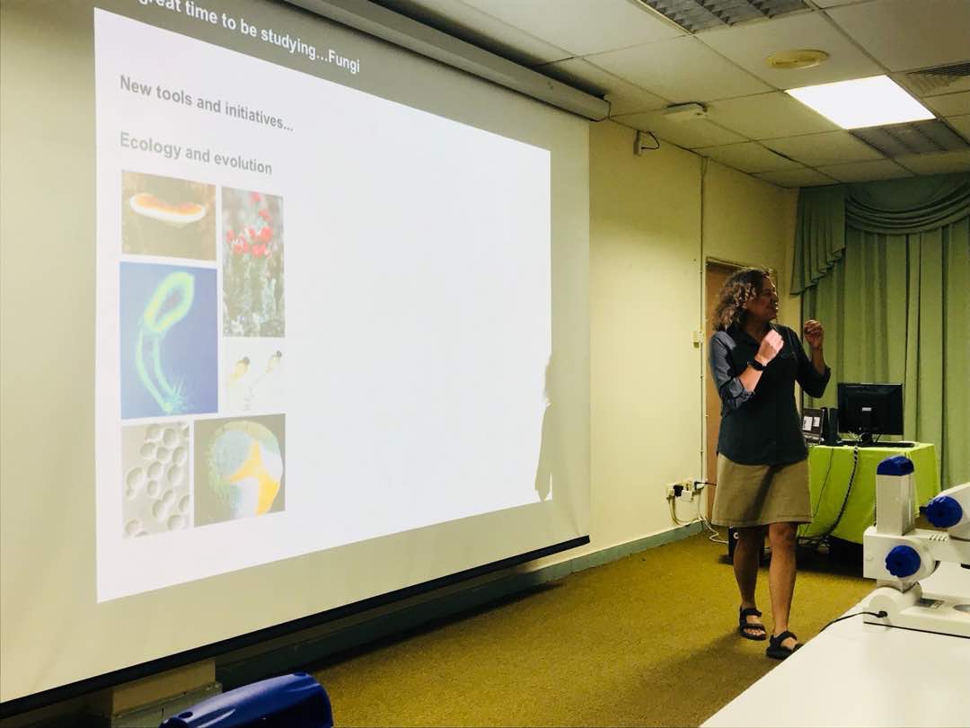 Introducing endophytic fungi during the workshop at UMS, Kota Kinabalu (Betsy).