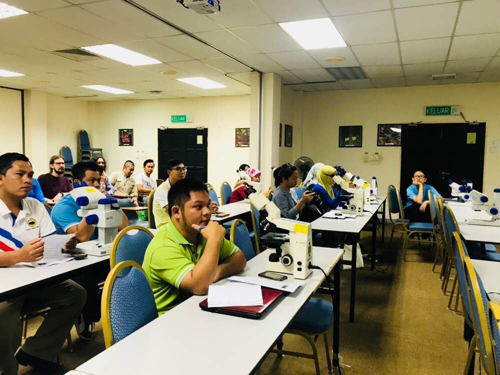 Workshop on endophytes and lichens organized at UMS, Kota Kinabalu (Participants).